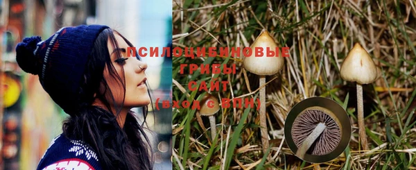 сатива Абдулино