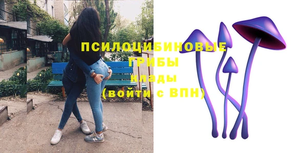 твердый Абаза