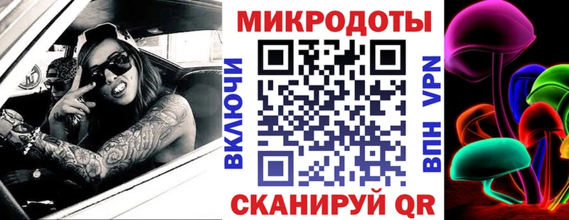закладки Алупка Галлюциногенные грибы Psilocybe